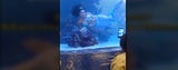 nokukhanya.the_mermaid/tiktok