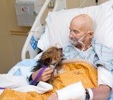 Albuquerque Animal Welfare/Facebook