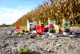Hunde-Attacke Naarn