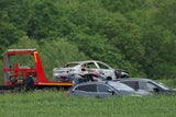 Die Fliege