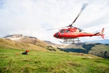 Frau in Salzburg von Kuh-Herde getötet