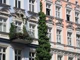 Diese Pflanzen sind auf dem Balkon verboten