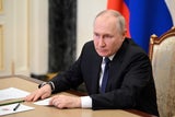 Putin