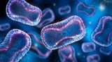 „Superbug“ oder MRSA Der Methicillin-resistente Staphylococcus Aureus (s. Bild) zählt zu den bekanntesten multiresistenten Krankenhauskeimen.&nbsp;&nbsp;