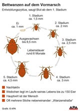 bettwanzen