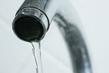 Chaos im Rathaus: Katze verursacht Wasserschaden in Höhe von 325.000 Euro