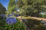 Der Landschaftsgarten findet sich oberhalb von Funchal.  