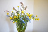 Geheime Liebesbotschaften: Die Bedeutung hinter Valentinstagsblumen