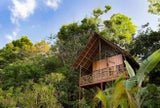 Das Baumhaus überblickt stolz den Urwald Costa Ricas.