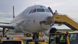 Flugzeugschwechat aua hagel