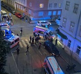 Axt-Killer Wien
