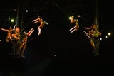 Cirque du Soleil: So tierisch ist die neue Show ''Ovo''
