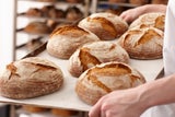 Das sind die beliebtesten Bäckereien Österreichs
