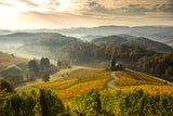 Die schönsten Roadtrips durch Österreich