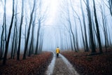 Winterschlaf: Darum sind wir in der kalten Jahreszeit so müde