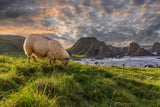 Erlebnisreisen: Diese Abenteuer-Ziele liegen aktuell im Trend