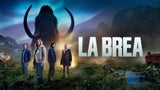 Die Streaming-Highlights im neuen Jahr