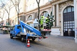 Weihnachts-Beleuchtung auf der Mahü wird montiert
