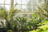 Wintergarten-Trend: Garten im Glashaus