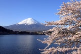 Fujikawaguchiko
