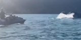 Bolsonaro