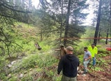 Flauschiger Held: Hund rennt 6 Kilometer durch Wildnis und rettet Herrchen aus Todesfalle!