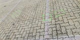 Mord Wiener Neustadt