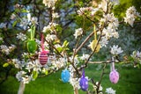 Die blühenden Zweige stellt in diesen Wochen der Garten zur Verfügung, die bunten Ostereier werden mit Lack überzogen und in den Ästen mit Bändern fixiert.