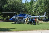 Hai-Attacke in Florida