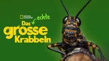 Die aktuellen Streaming-Highlights (20. - 26.01.)