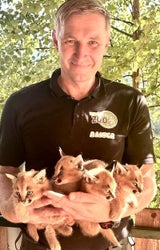 Karakal-Vierlinge: Tierische Sensation im Weißen Zoo