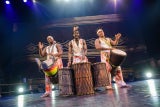 »Afrika! Afrika!« verzaubert jetzt ganz Wien