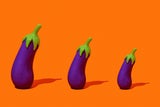 Penis-Arten: Die verschiedenen Typen im Überblick