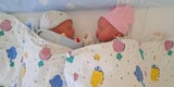 Neujahrsbabys: Zwillinge um 0.00 und 0.01 in Tulln geboren
