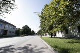 Doppelmord: Bluttat im Burgenland