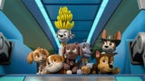"Chantal" gegen "PAW Patrol" im frechen Osterkino-Duell