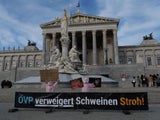 VGT-Schweine vor dem Parlament