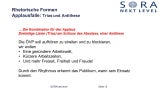 Das ist das komplette Aufreger-Strategiepapier der SPÖ