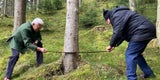 Lugner sägt Christbaum