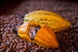Schoko-Revolution: Diese Schokolade soll gesünder sein als Obst