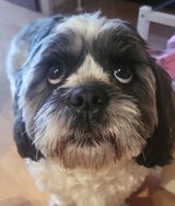 Rubi