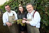 Bürgermeister-Weinlese im kleinsten Weingarten Wiens