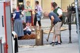 Maibaum umgestürzt