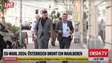 Kogler bei Stimmabgabe