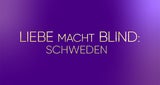 Die aktuellen Streaming-Highlights (27.01. - 02.02.)