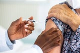 Impfung revolutioniert Krebstherapie