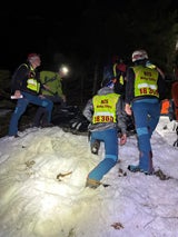 Bär Slowakei