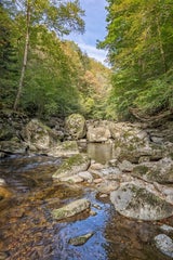 Die Wildbachklamm ist eine der beeindruckendsten Schluchtlandschaften des Bayerischen Waldes. 