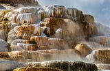 Mammoth Terraces im Yellowstone Nationalpark