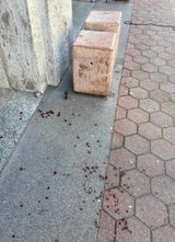 blut vor schule  im brigittenau